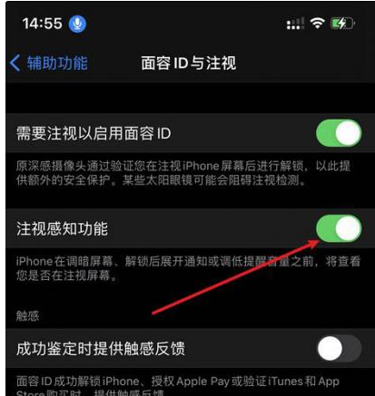 临安苹果14维修网点分享iPhone14注视感知功能有什么用 