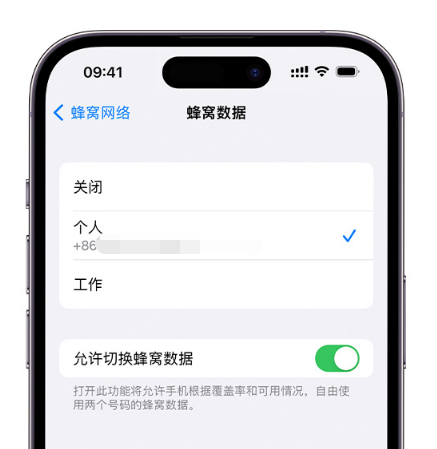 临安苹果维修服务分享如何在iPhone上使用双卡 